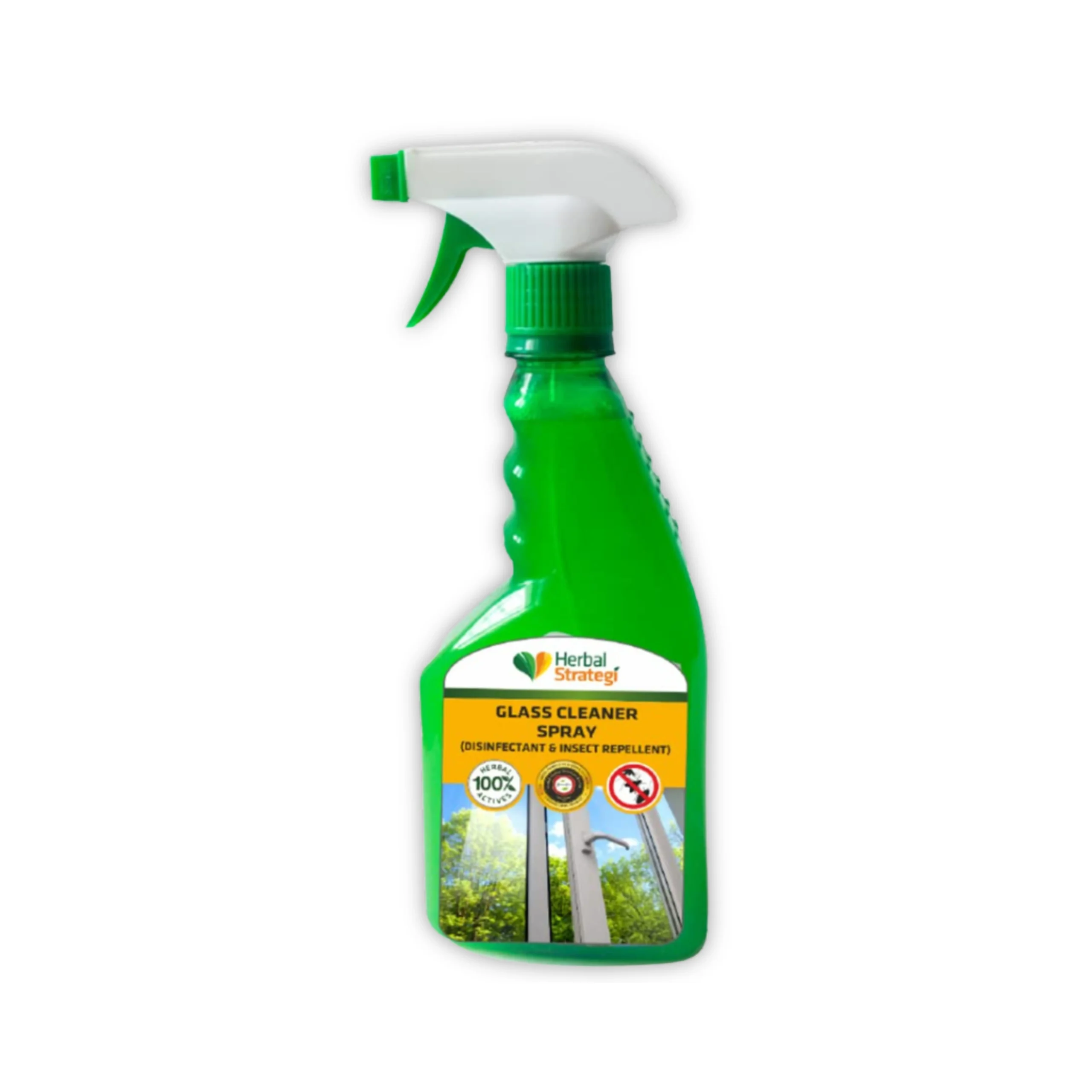 Herbal Glass Cleaner, Disfectant & Insect Repellent