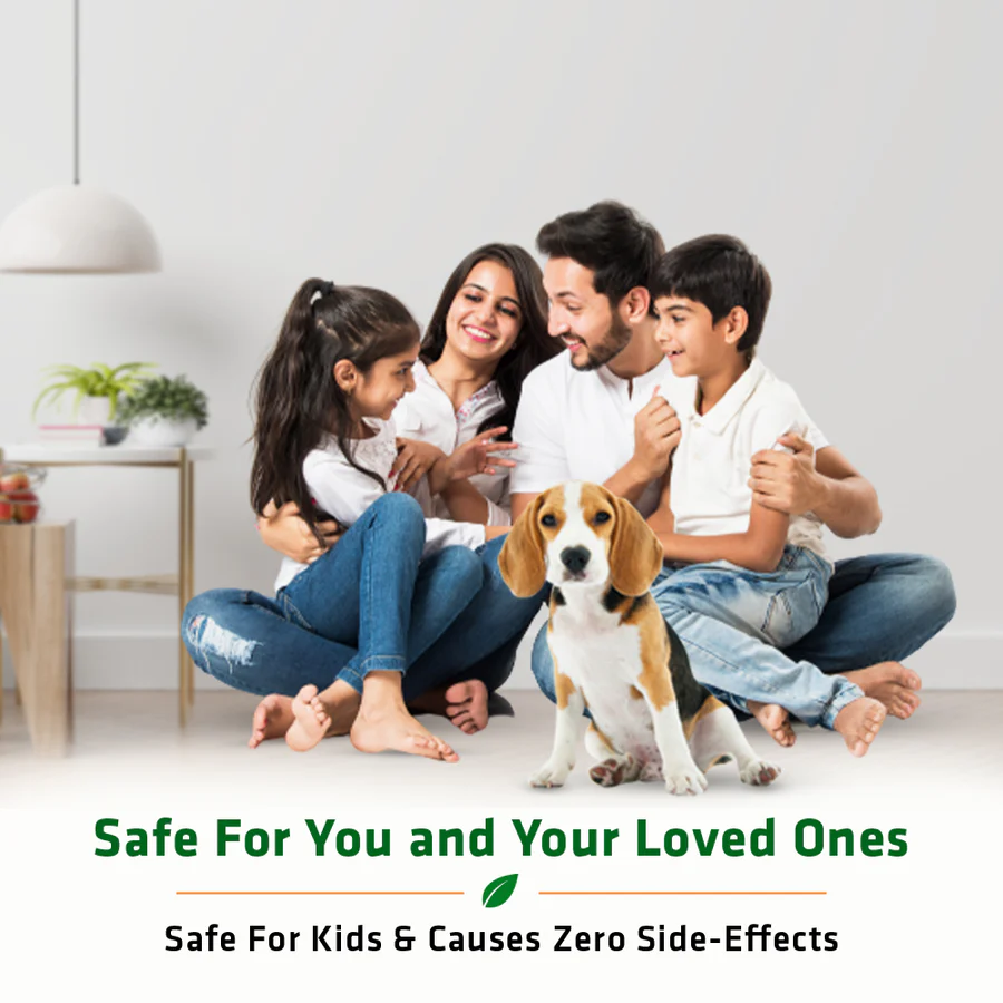 Herbal Aromaric Incense Sticks (Vetiver) - Image 3