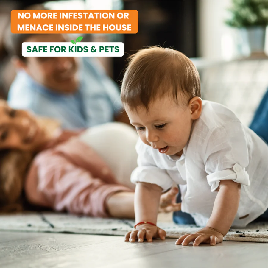 Herbal Ant Repellent - Image 3